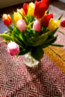 A Spring Spruce Up