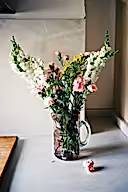 Palma Jug