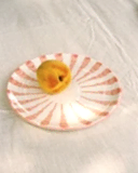 Wave Dinner Plate - Blush